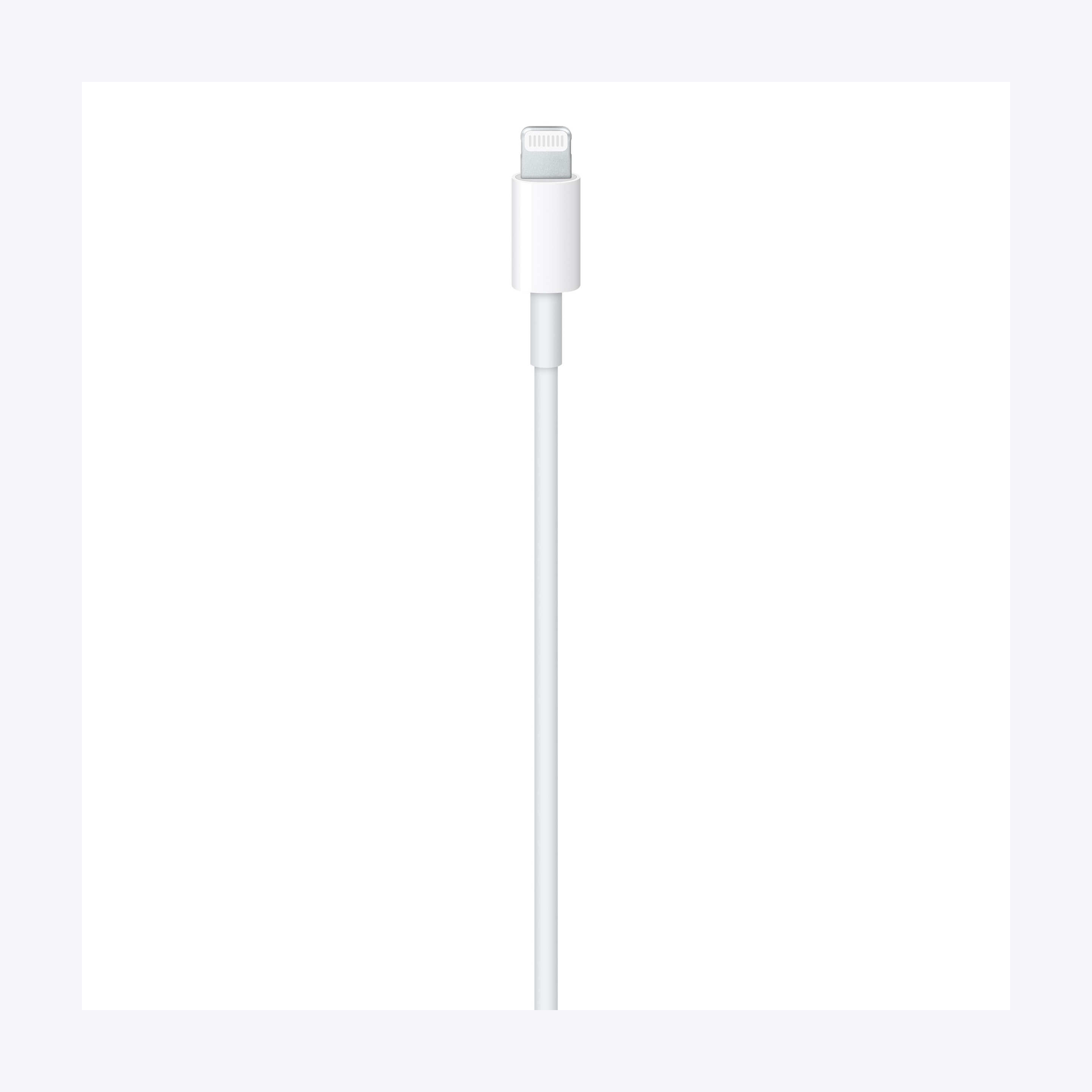 Apple OEM iPhone Type-C to Type-C Cable (1m)