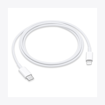 Apple OEM iPhone Type-C to Type-C Cable (1m)