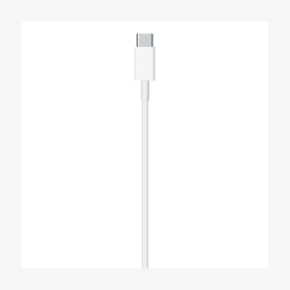 Apple OEM iPhone Type-C to Type-C Cable (1m)